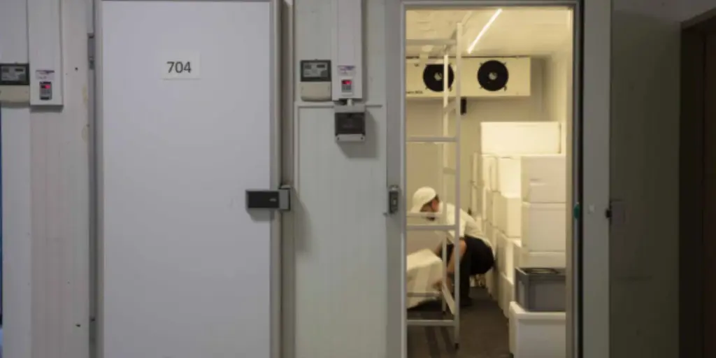 commercial Reach-In Cooler maintenance